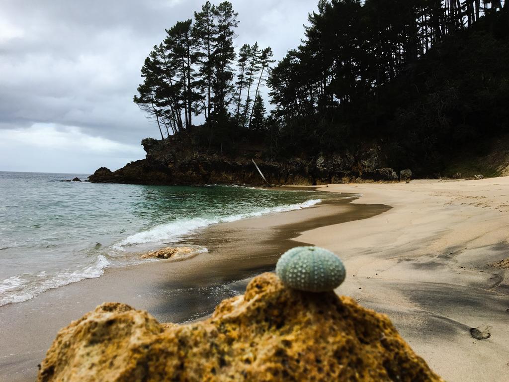 Whangamata Vistas B&B Dış mekan fotoğraf