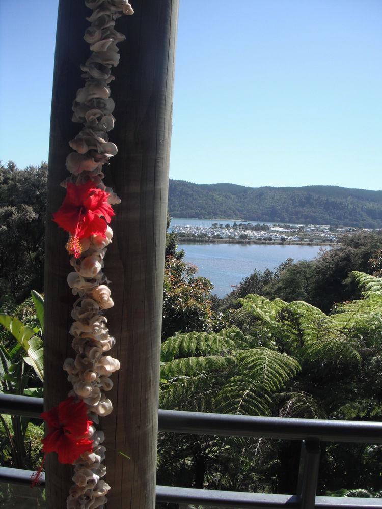 Whangamata Vistas B&B Dış mekan fotoğraf